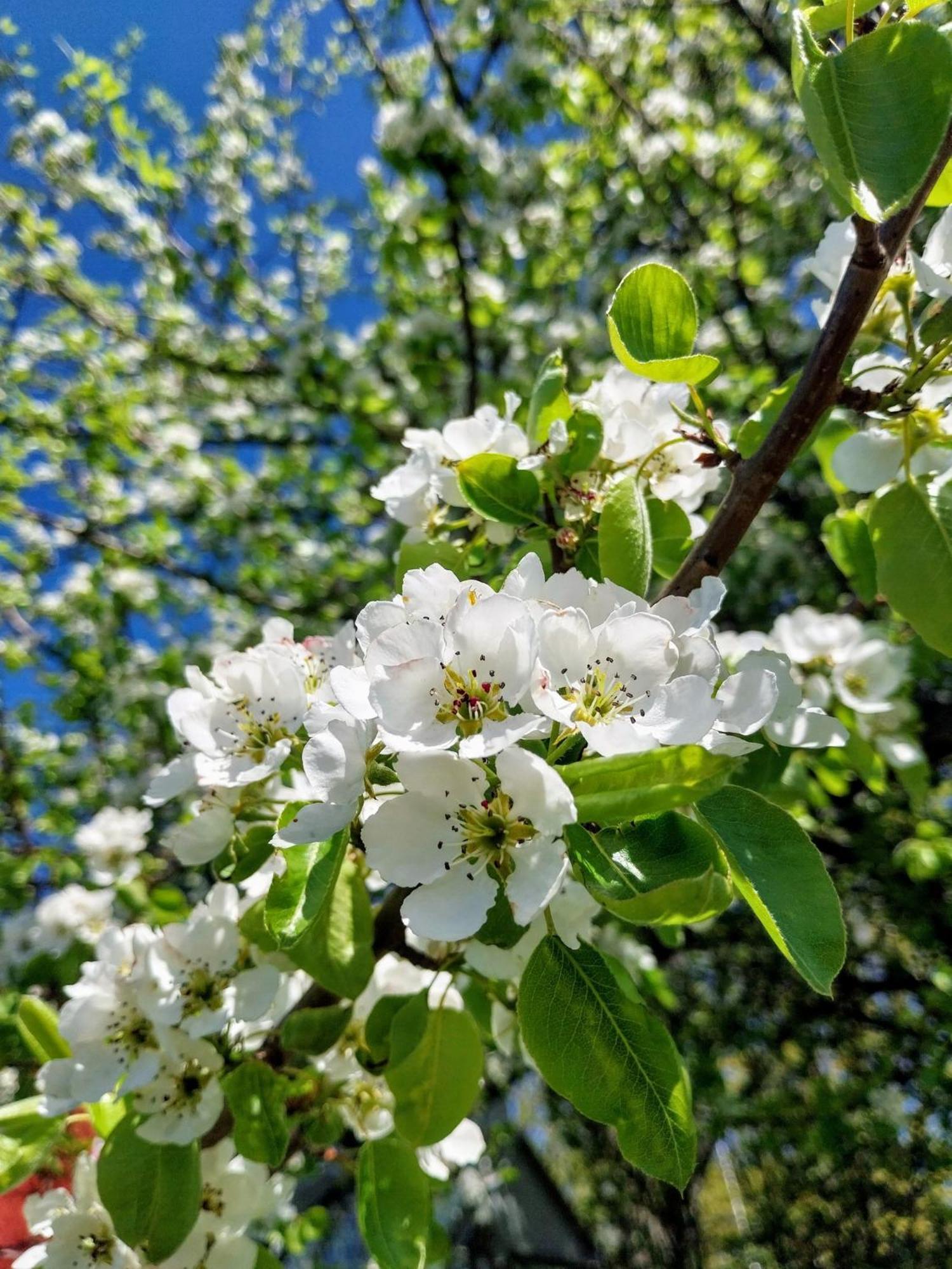 Gyttja Vaestergards Nauvo Exteriér fotografie